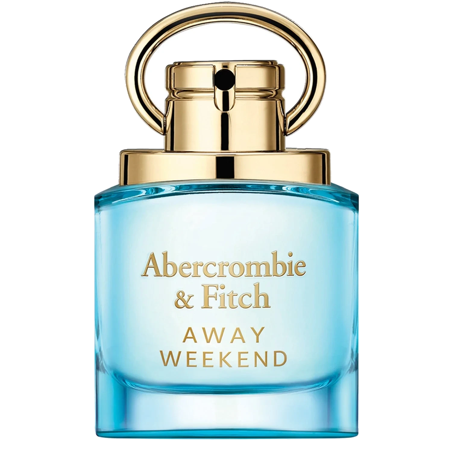 Abercrombie & Fitch Away Weekend Woman