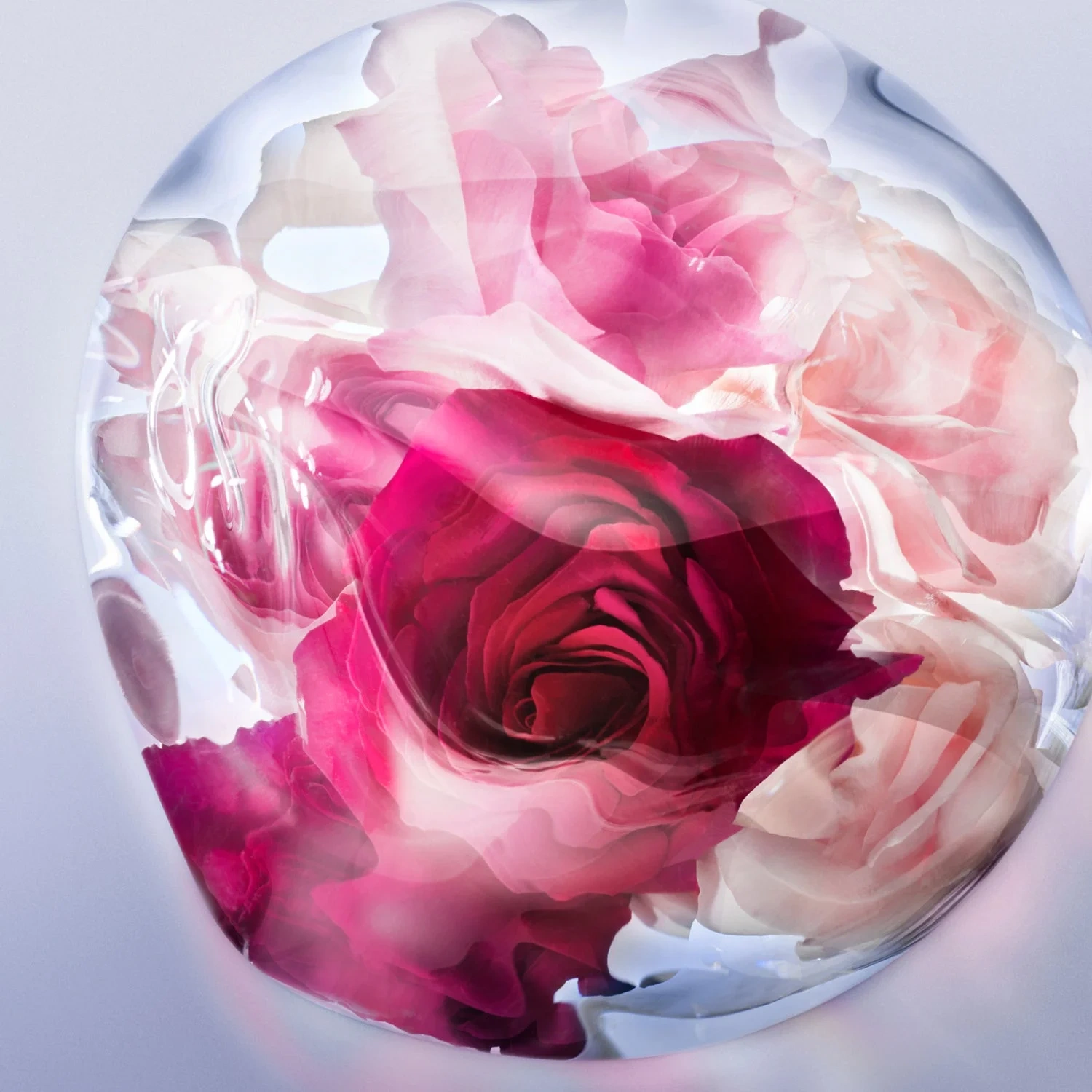 Lancôme La Vie Est Belle Rose Extraordinaire Eau de Parfum 100 ml