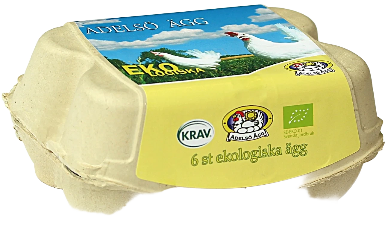 6-pack Eko M/L