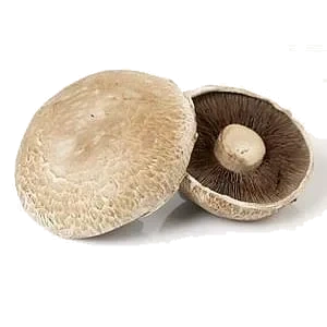 Portobello sopp      kg