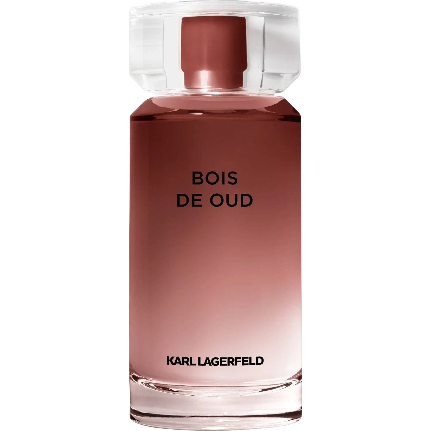 Karl Lagerfeld Les Parfums Matières Bois de Oud Eau de Toilette 100 ml
