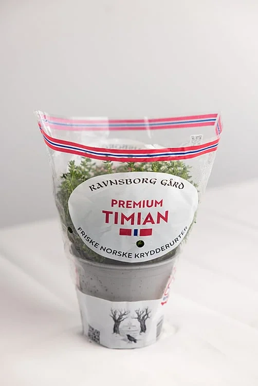 Timian  ø14cm premium   potte