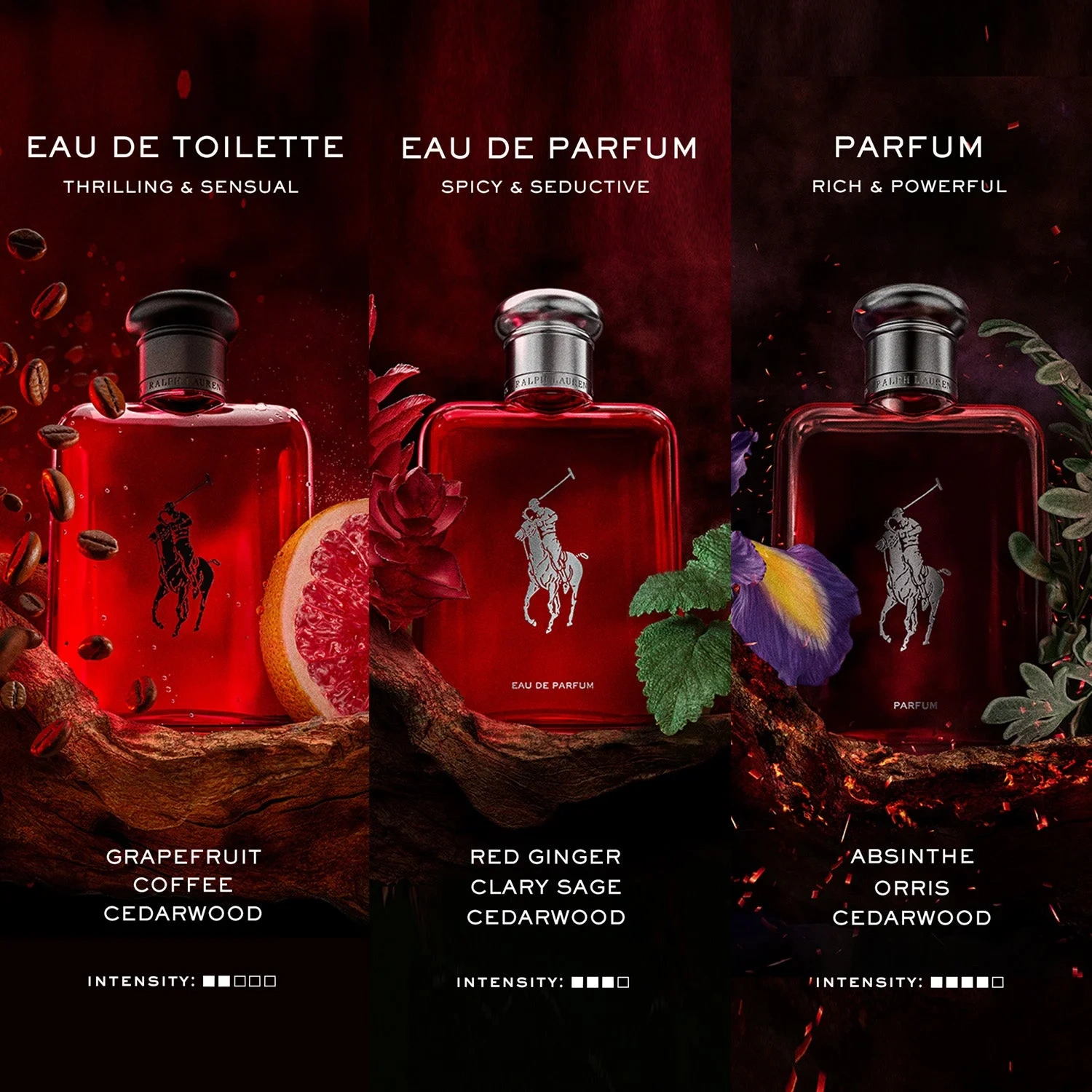 Ralph Lauren Polo Red