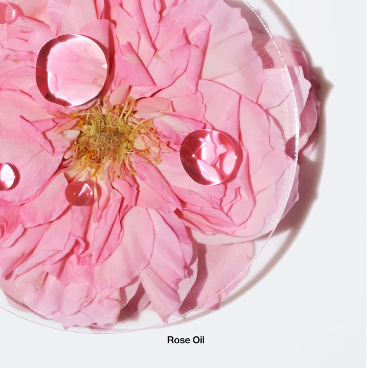 Clinique Calyx Fragrance