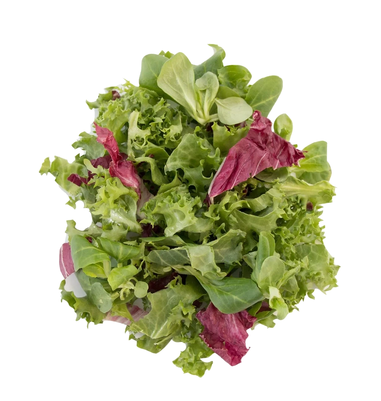 Provencesallad skuren 20mm
