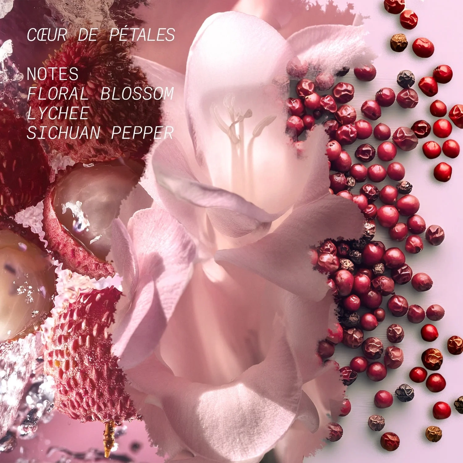 Látelier Parfum Hair & Body Mist