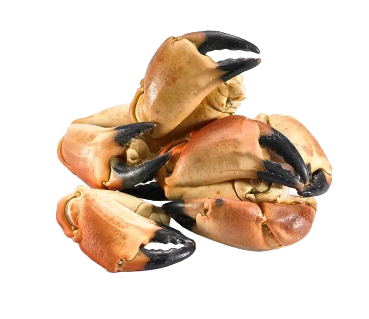 Krabbeklør bestilles pr stykk á ca.100g