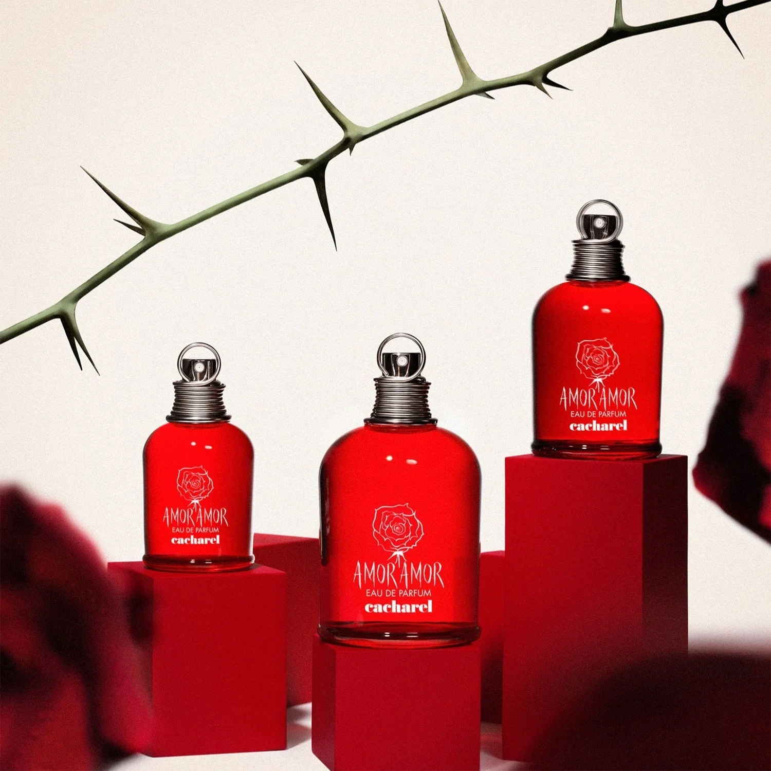 Cacharel Amor Amor Eau de Parfum 100 ml