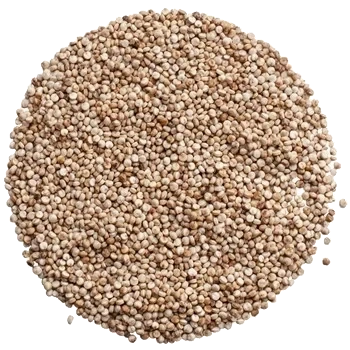 Quinoa Vikinga, helt frö KRAV