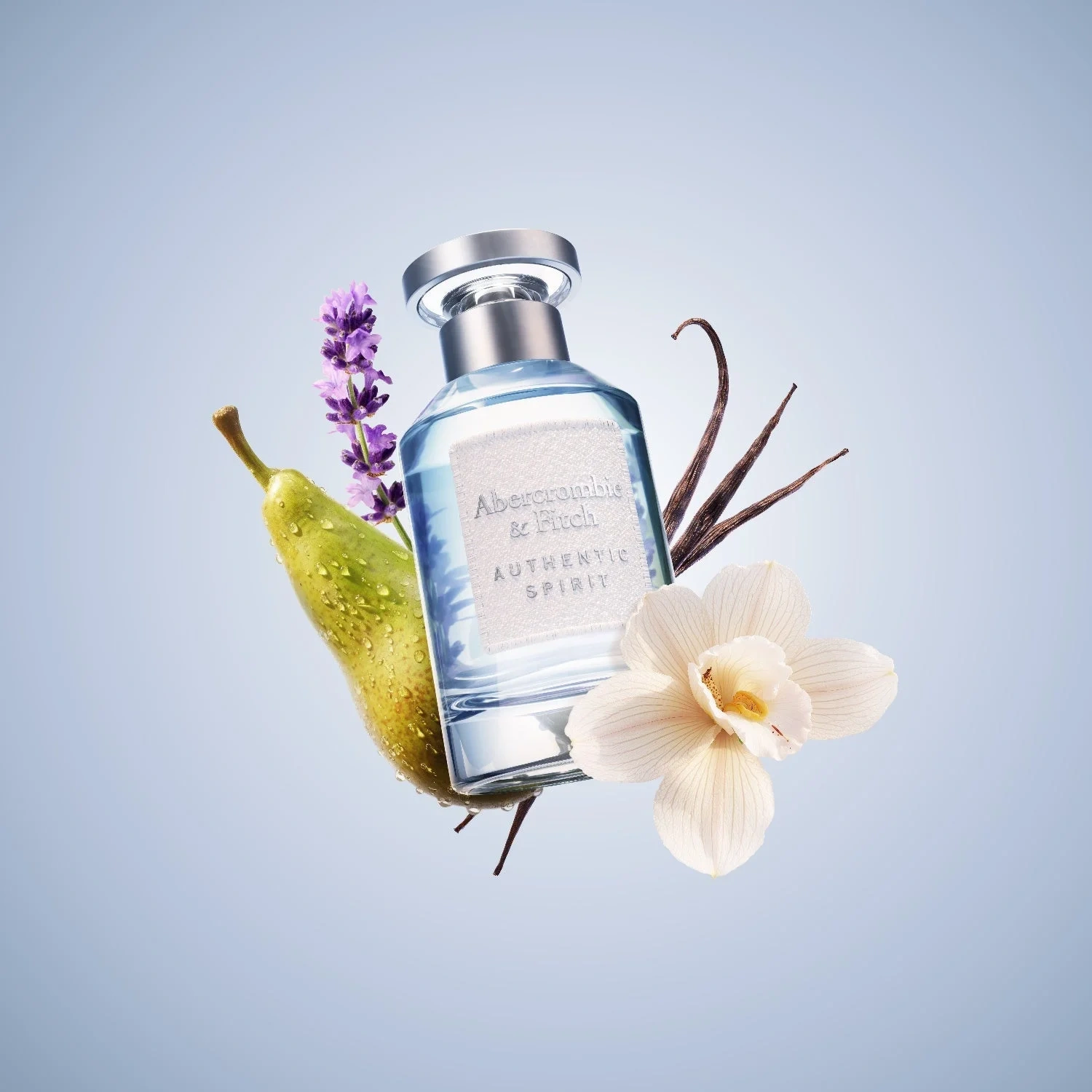 Abercrombie & Fitch Authentic Spirit Woman