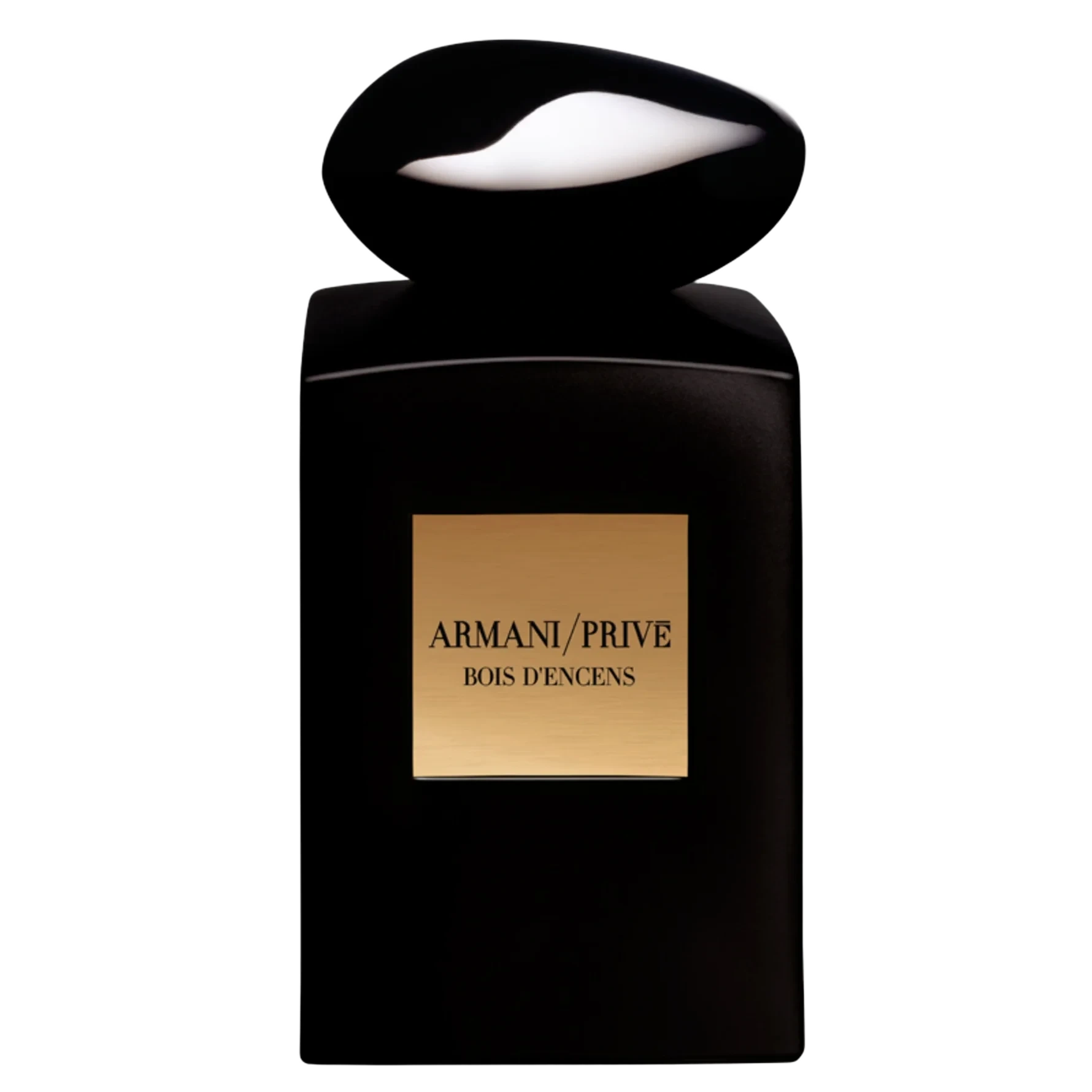 Armani Privé Cuir Noir Eau de Parfum 100 ml