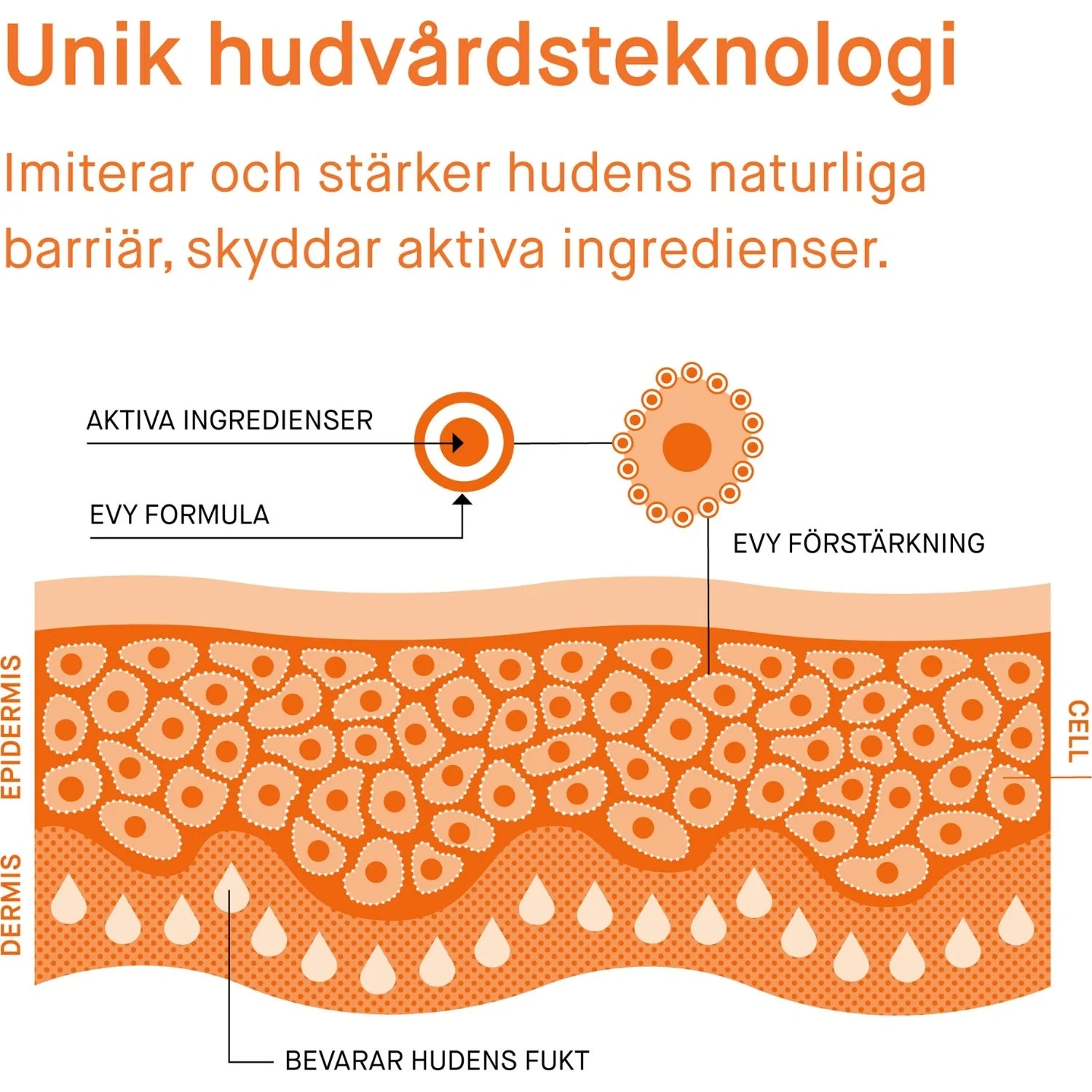 EVY Technology EVY Technology