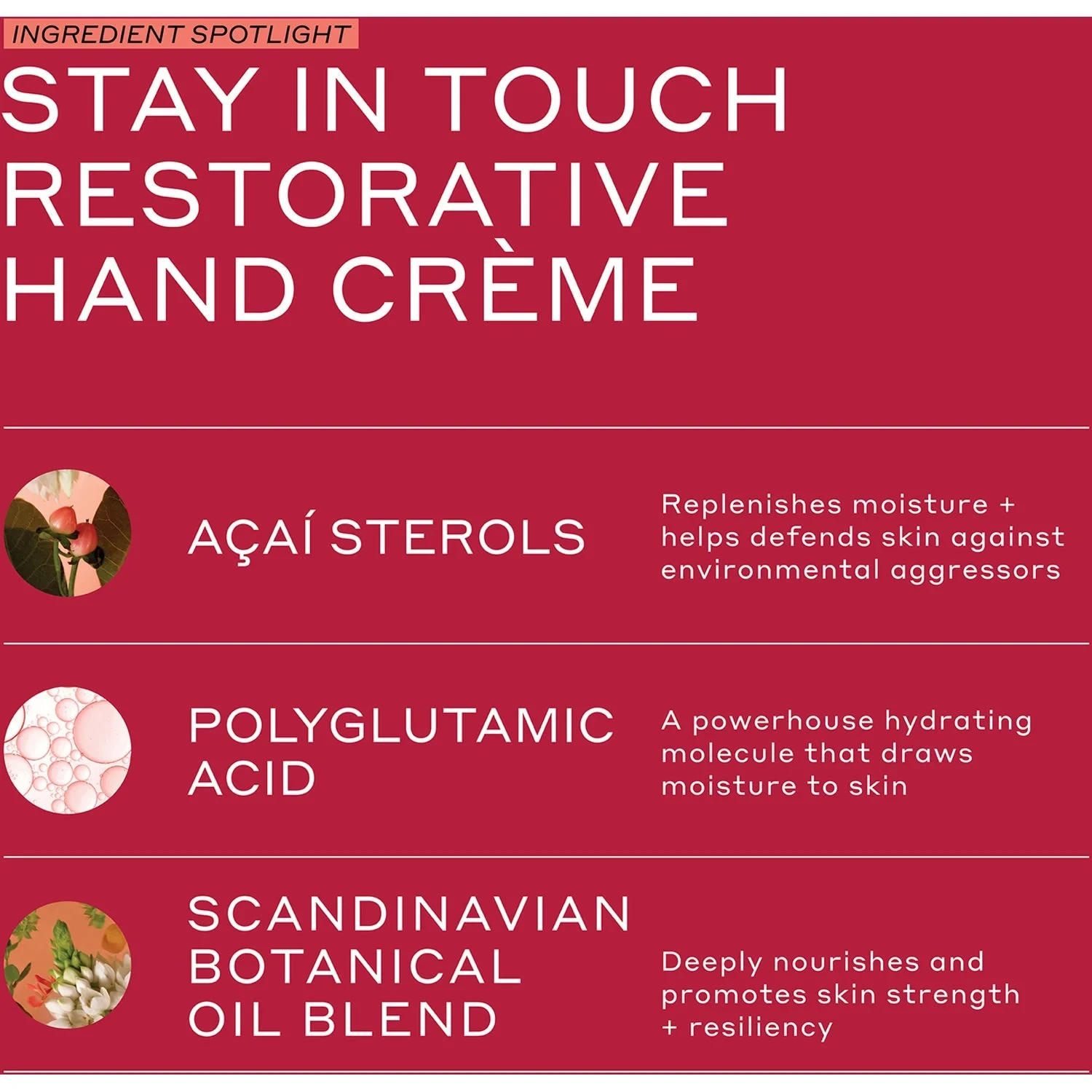Ole Henriksen The Ole Touch Stay in Touch Restorative Hand Cream