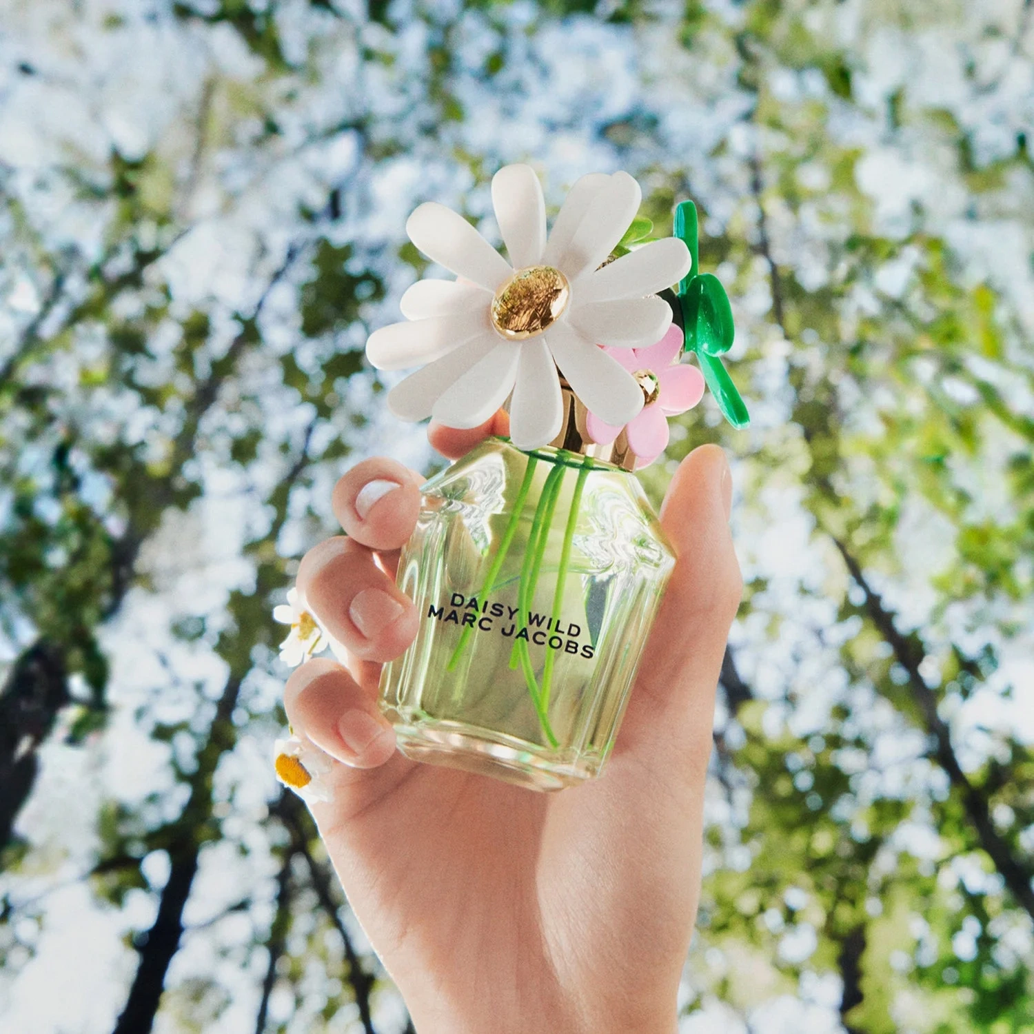 Marc Jacobs Daisy Wild Eau de Parfum 50 ml