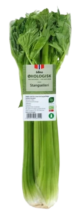 Stangselleri 300g Økologisk