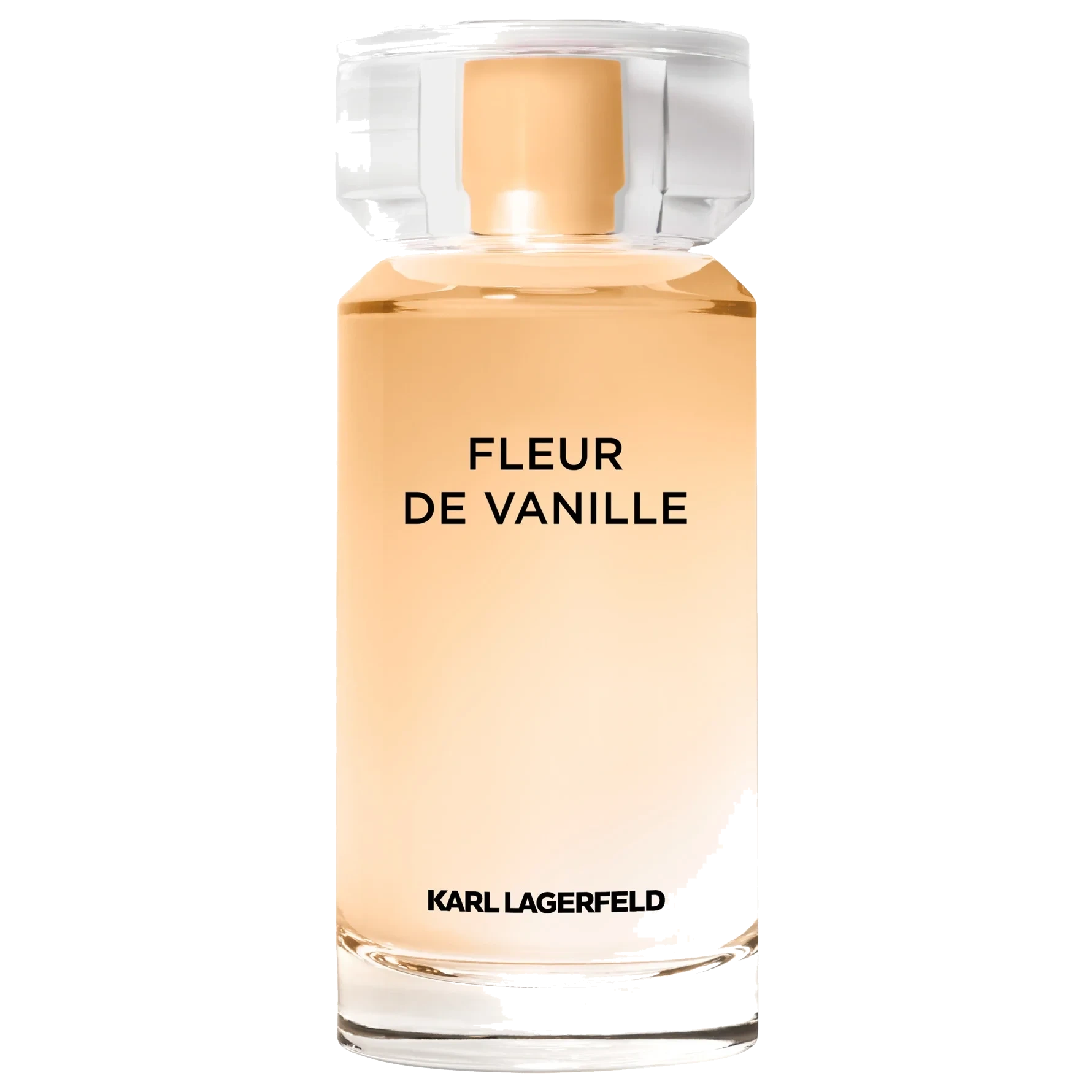 Karl Lagerfeld Les Parfums Matières Fleur de Vanille Eau de Parfum 100 ml