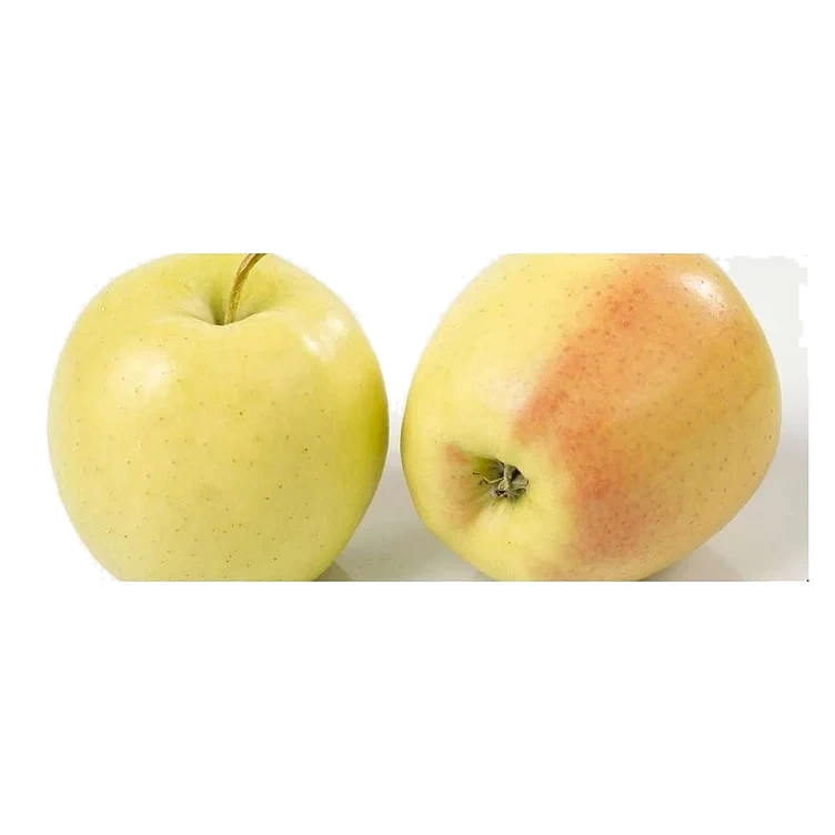 Epler import golden  kg