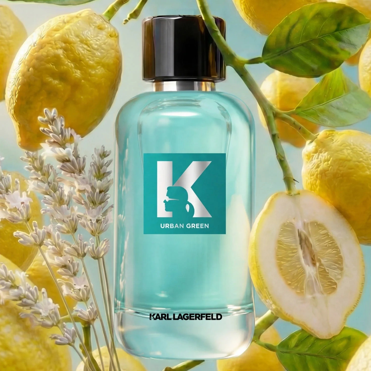 Karl Lagerfeld Jeans Urban Green Pour Homme Eau de Toilette 100 ml