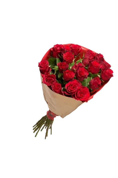 Roser 20pk 50cm Roser 20pk 50cm