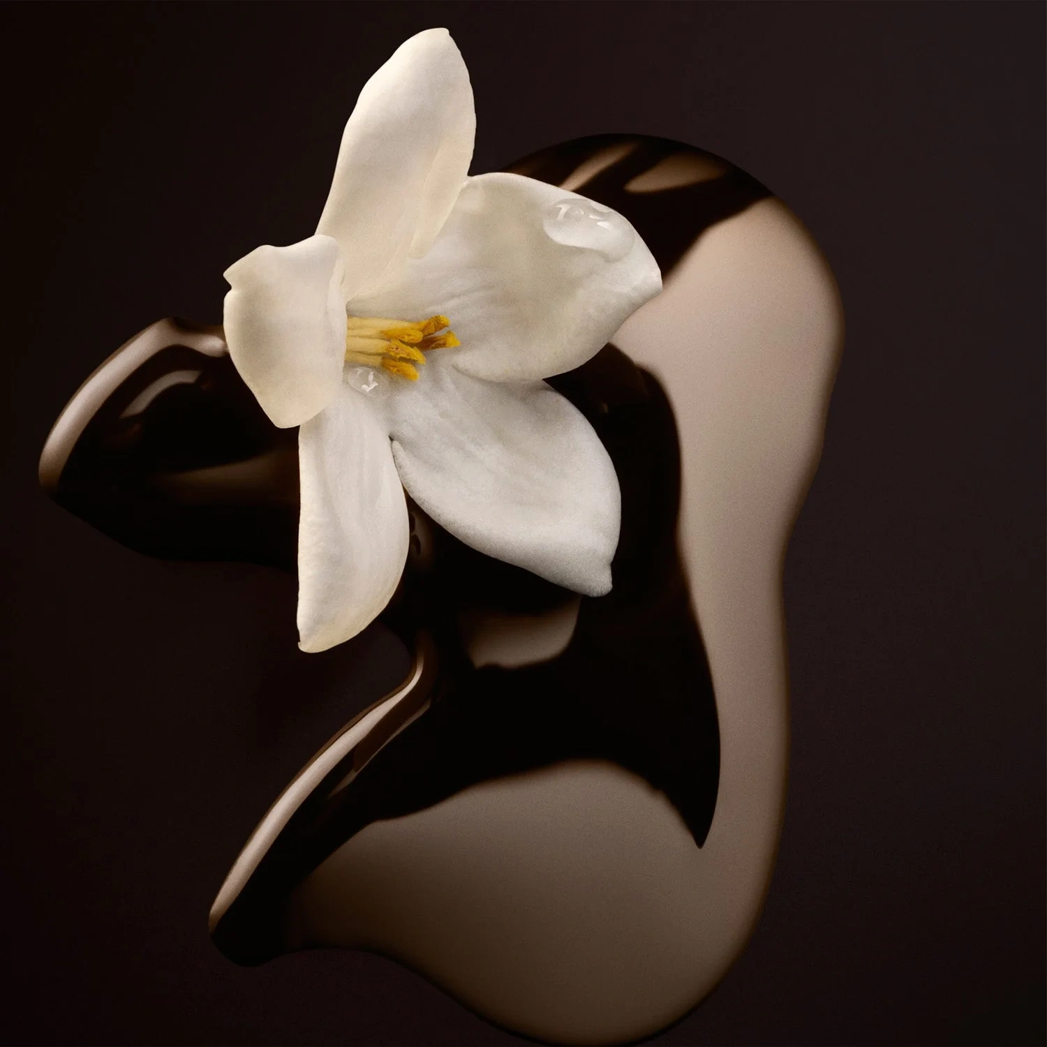 Hugo Boss The Scent For Her Magnetic