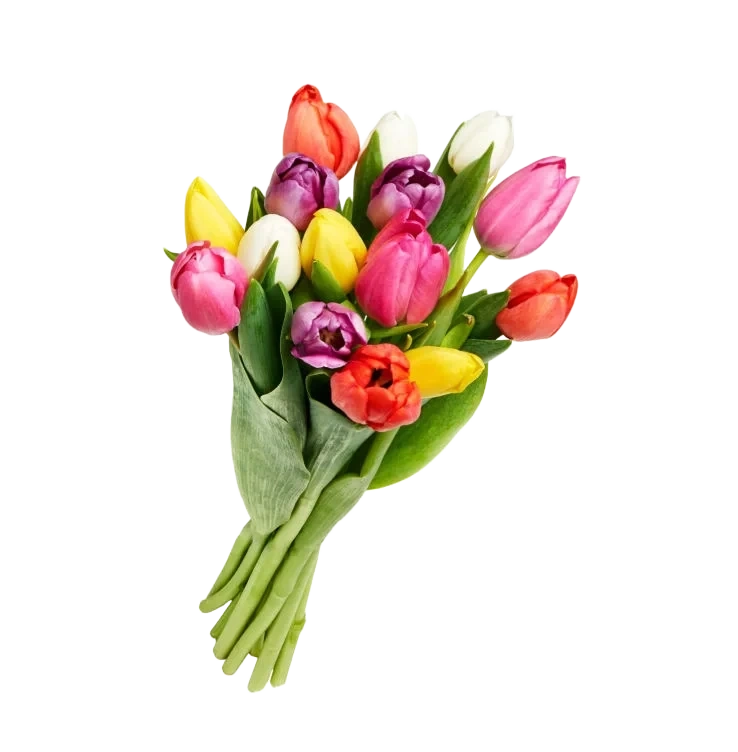 Tulipan 20 pakke Miks