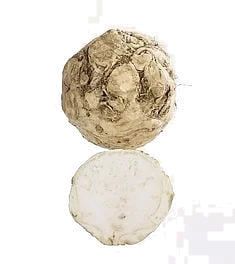 Sellerirot terning 1kg     kg