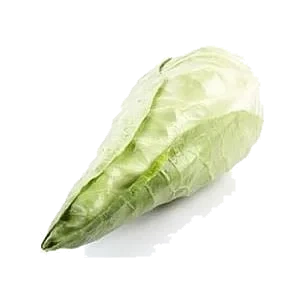 Spisskål økol.   stk