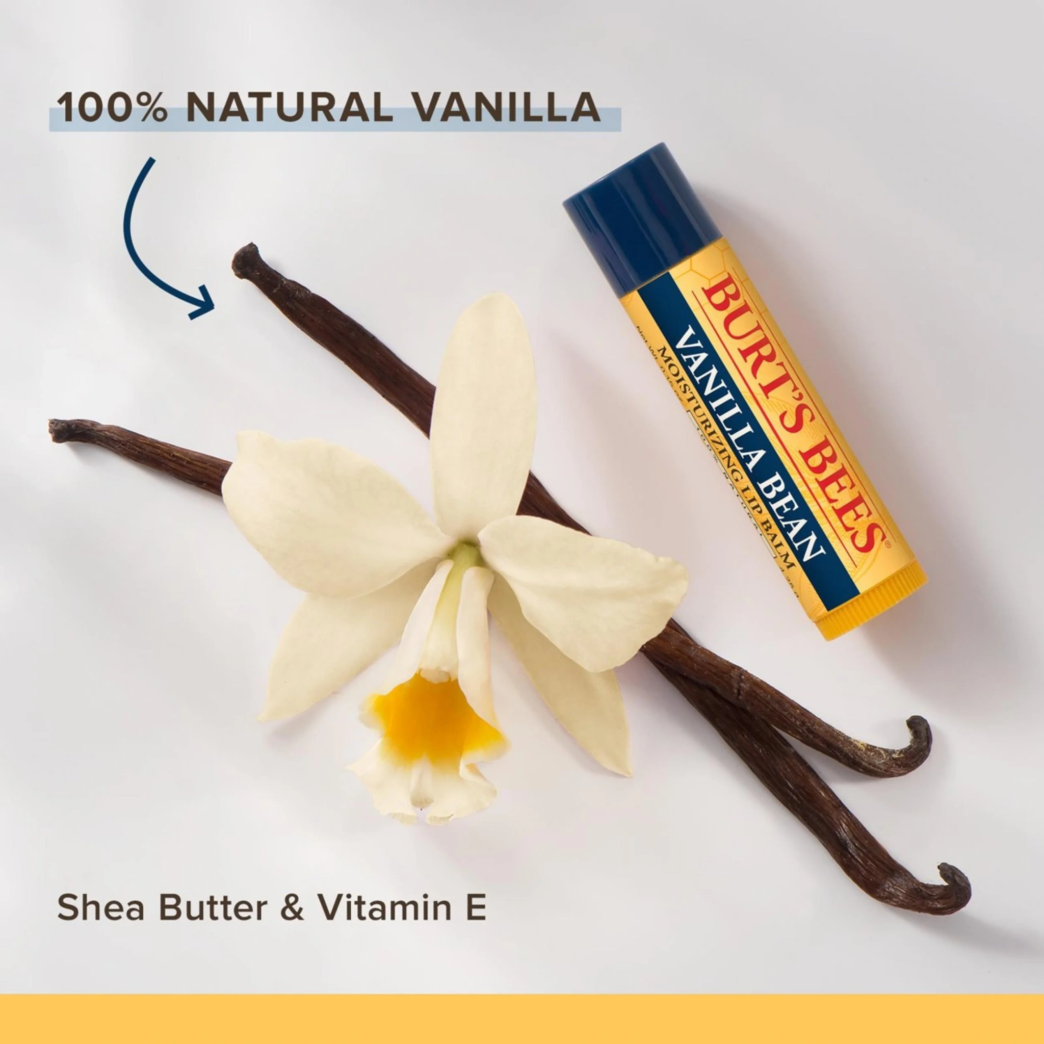 Burt's Bees Lip Balm Vanilla, 4,25 g