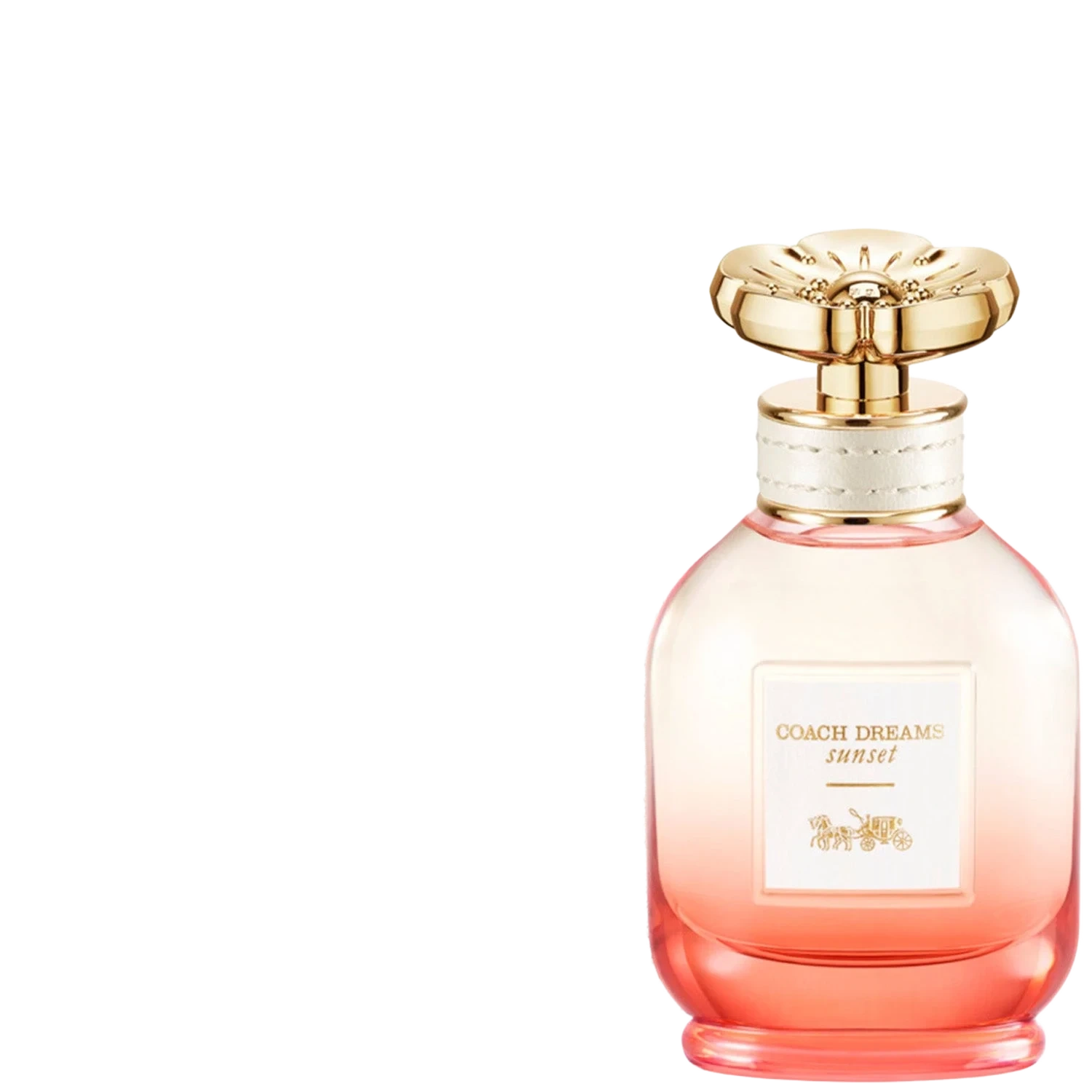 COACH Dreams Sunset