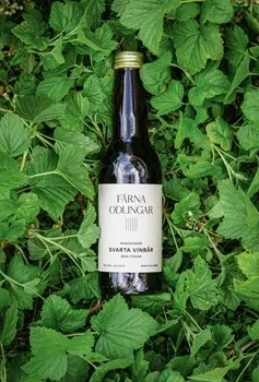 Mousserande Svarta vinbär bärdryck
