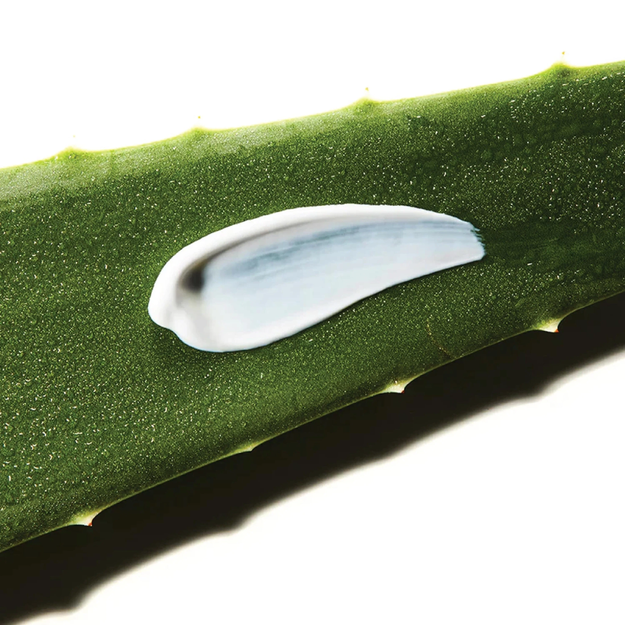 Aloe Sun cream