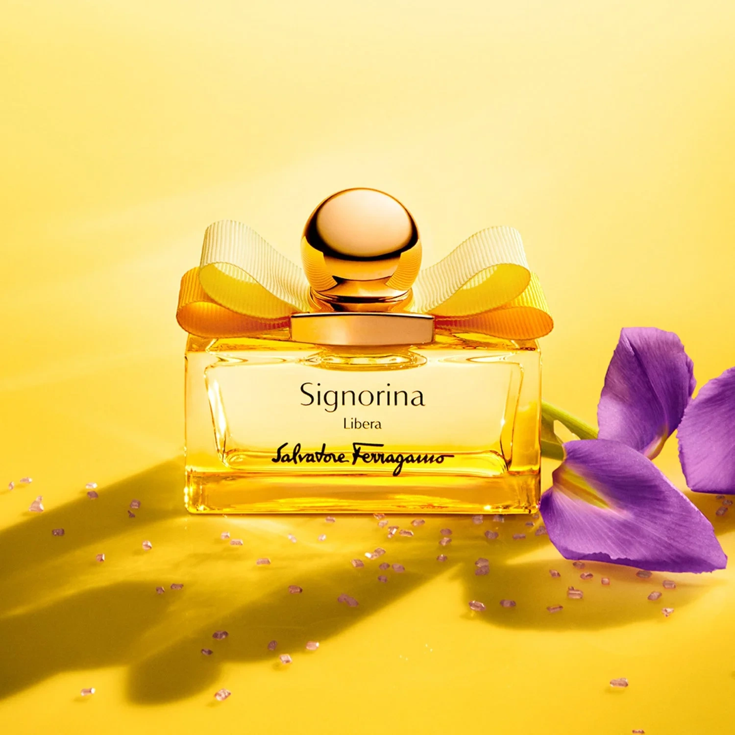 Ferragamo Signorina Libera
