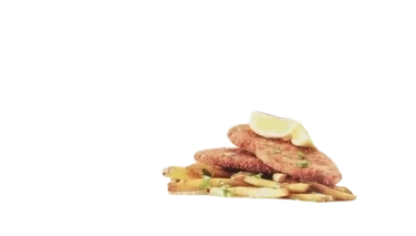 FLOWFOOD AS Wauw! Snitzel