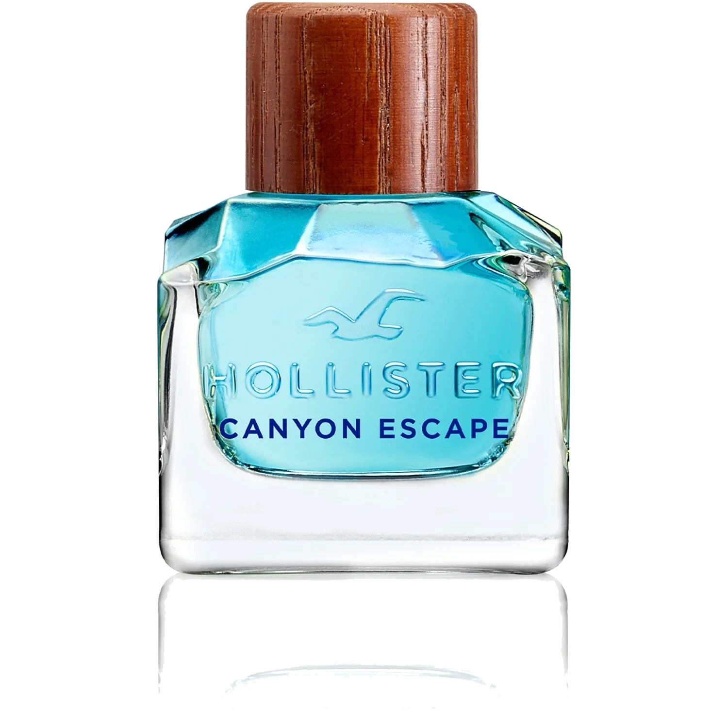 Hollister Canyon Escape For Him