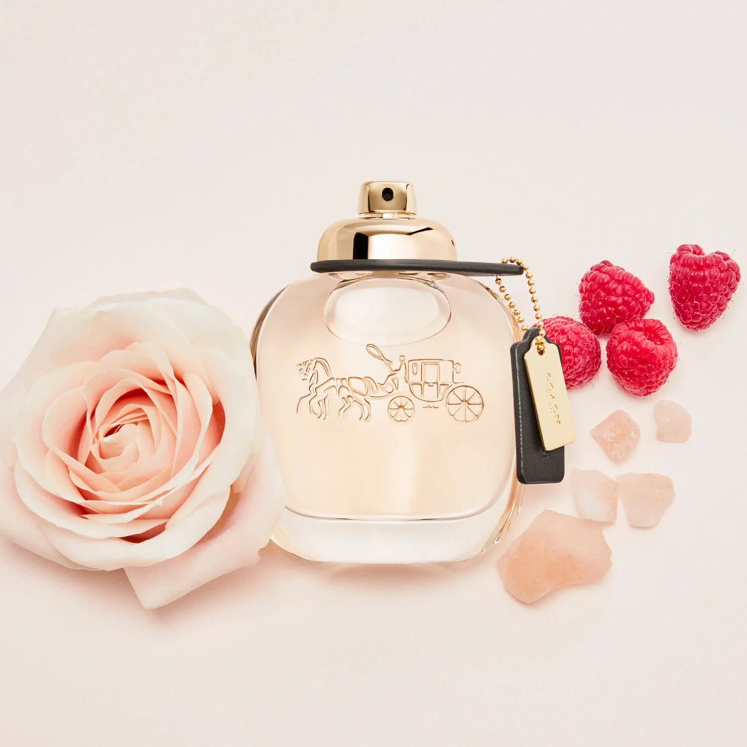 Coach Eau De Parfum 30 ml