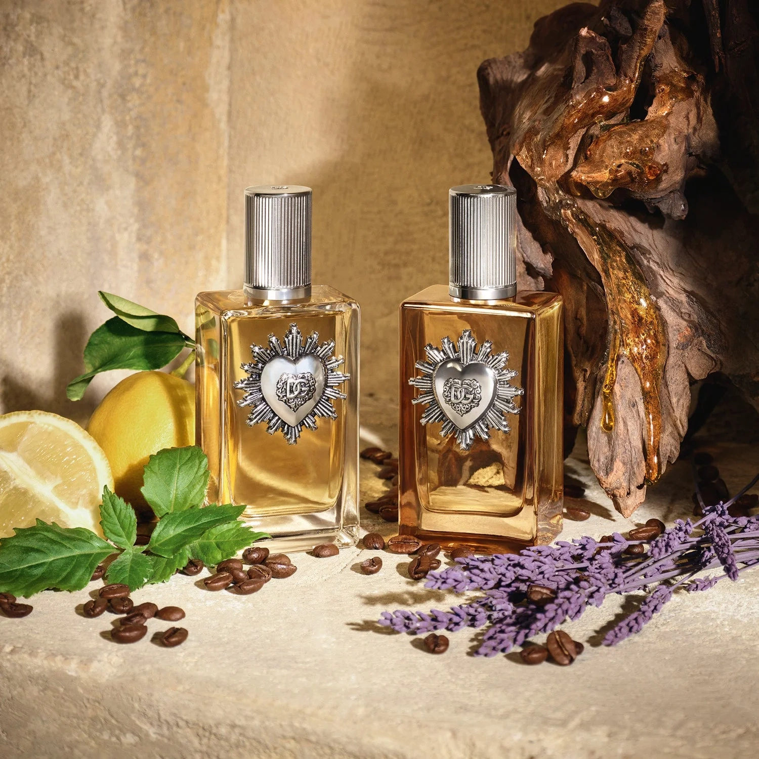 Dolce & Gabbana Devotion Pour Homme Parfum 100 ml
