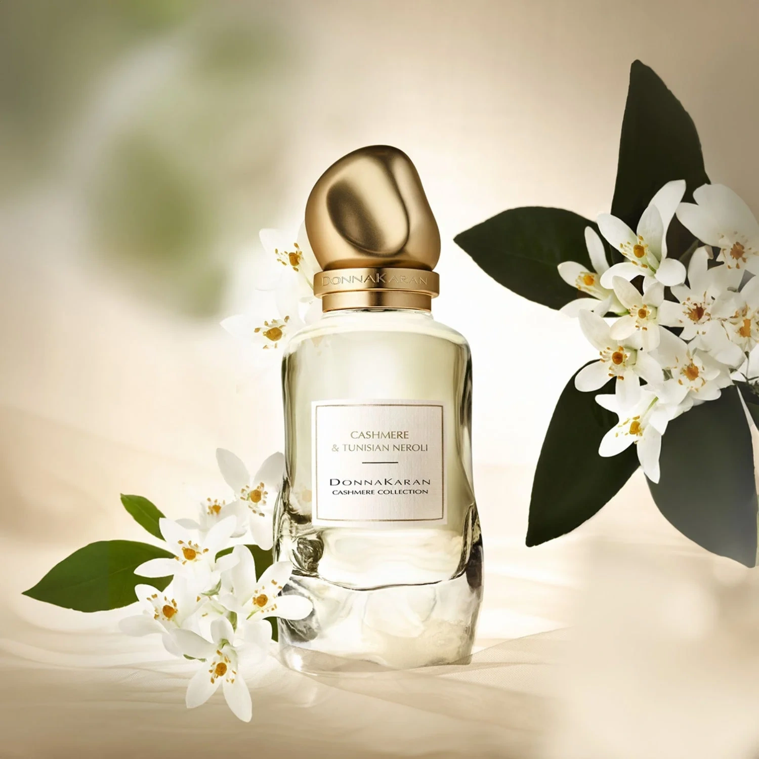 DKNY Cashmere Collection Tunesian Neroli