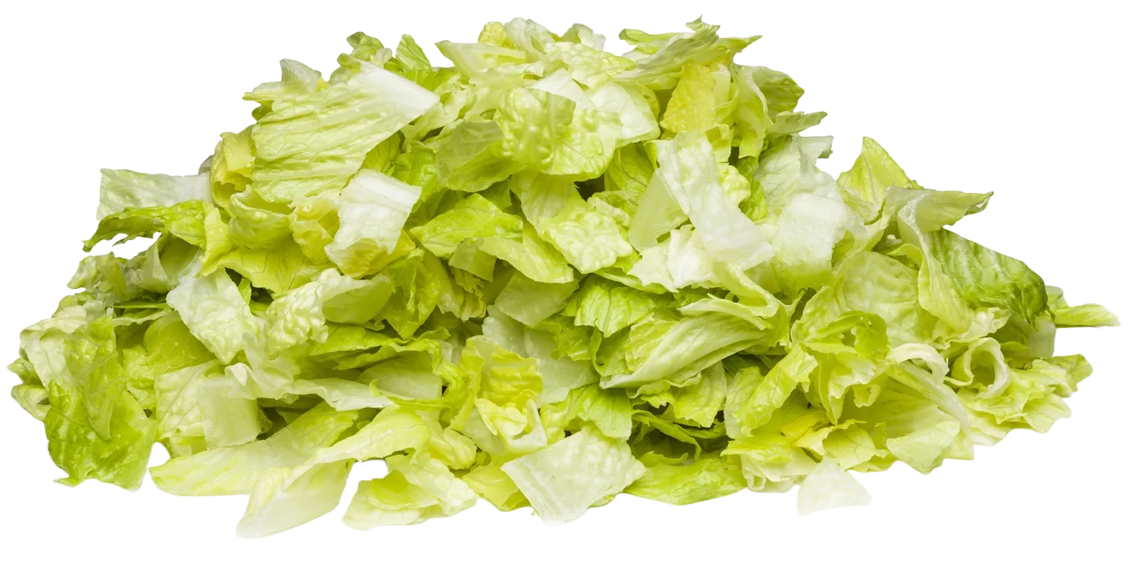 FS Isbergsallad skuren