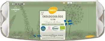 Familjens eko