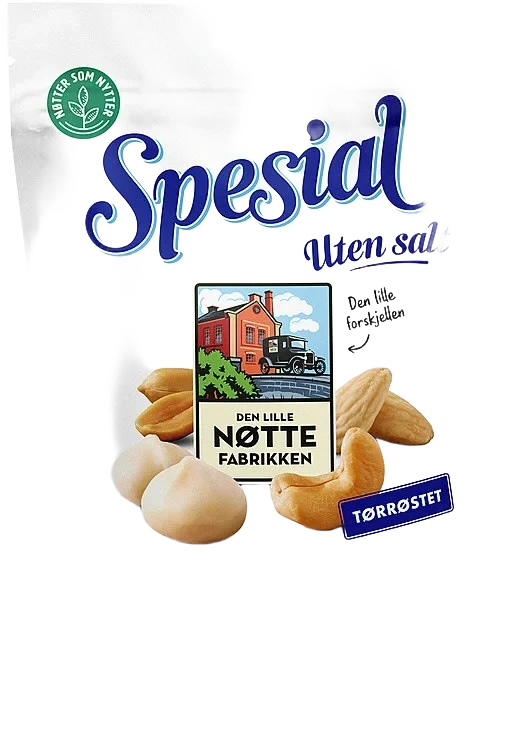 Spesial Nøtter u/Salt 170g Dln