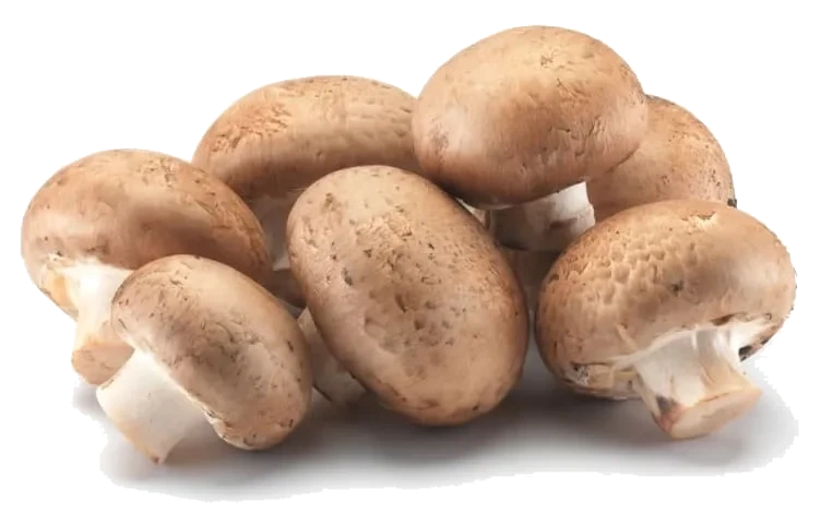 Sopp Aroma Champignon løsvekt