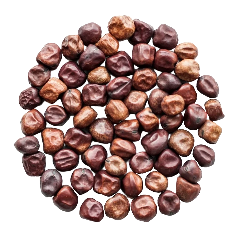 Stor Gråärt KRAV 2,5kg