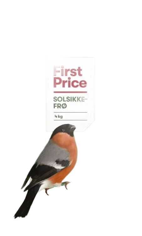 Solsikkefrø 4kg First Price