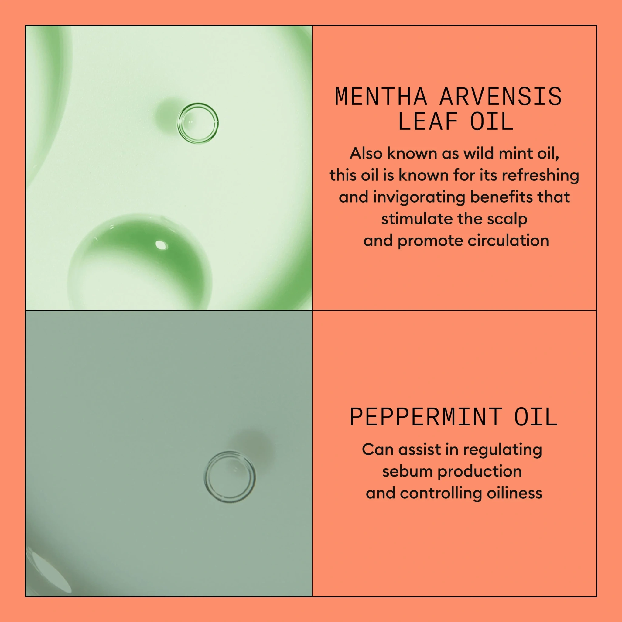System 4 Scalp Therapy Conditioner