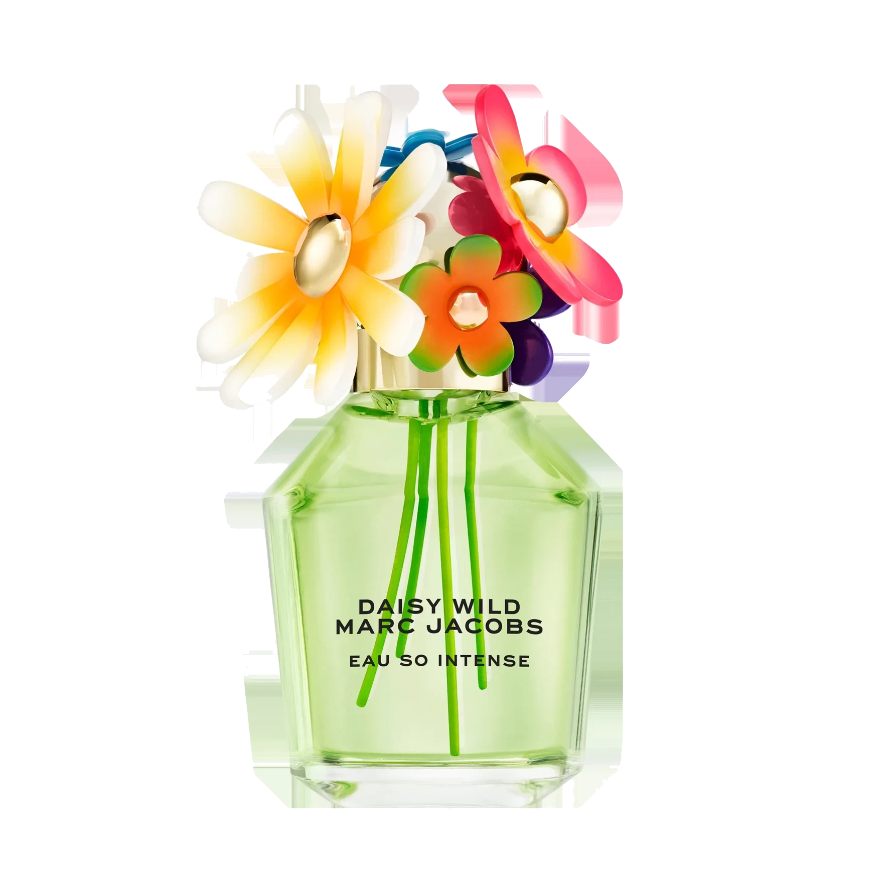 Marc Jacobs Daisy Wild Intense