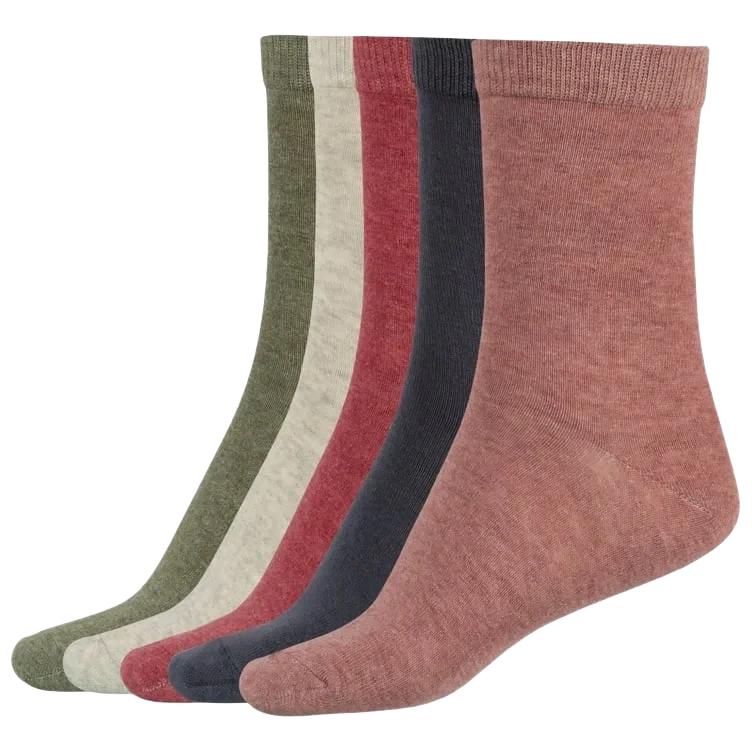 Basic Socks X5 Wmn Earth Mix 37-40