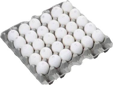 Vingulmark Økologiske Egg 30 m/l