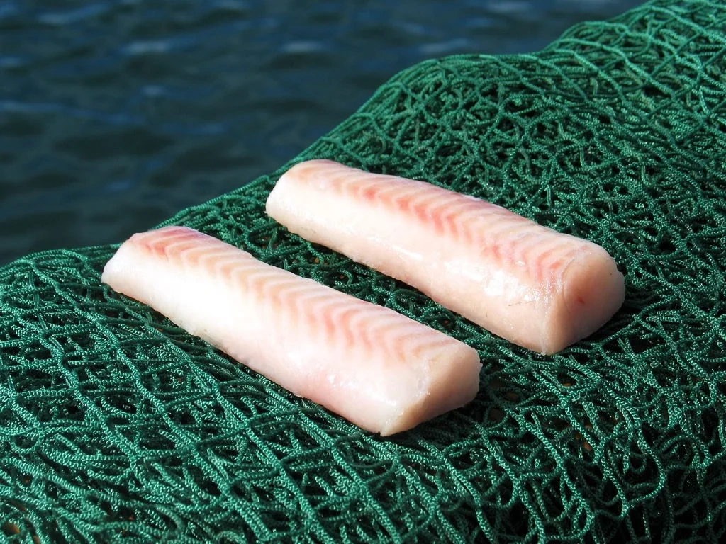 Alaska pollock ryggfilé MSC
