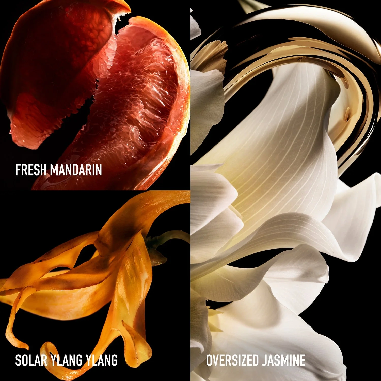 RABANNE Million Gold for Her LE Jasmine