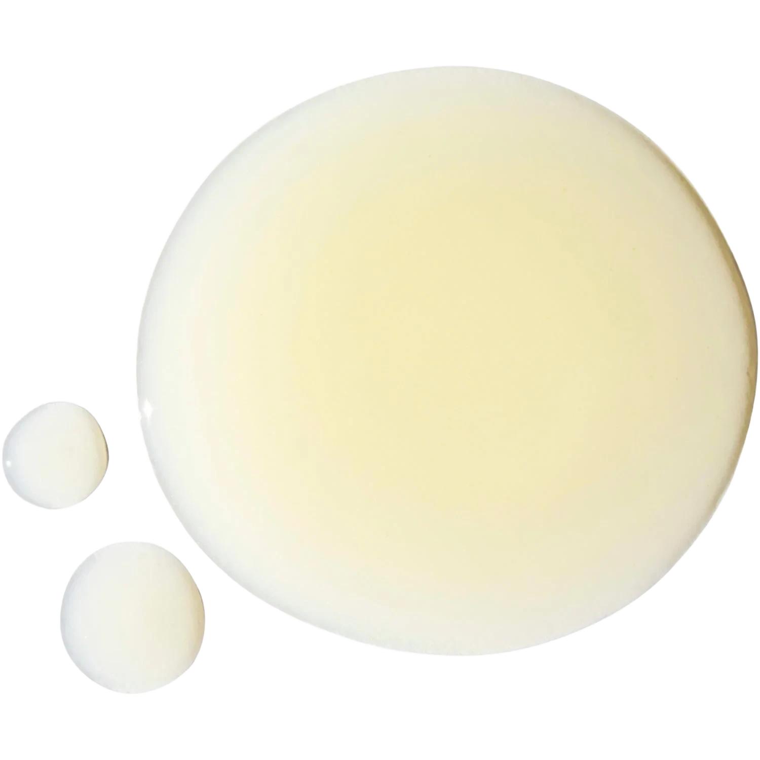 Niche Beauty Lab Transparent Lab